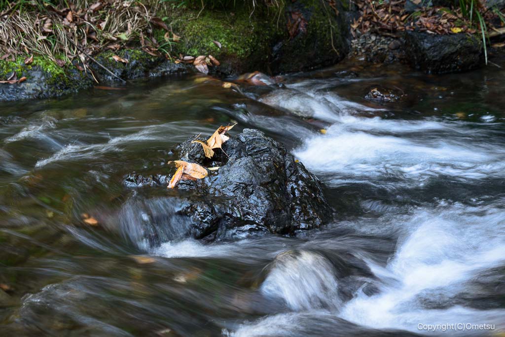 飯能・吾妻峽の水流