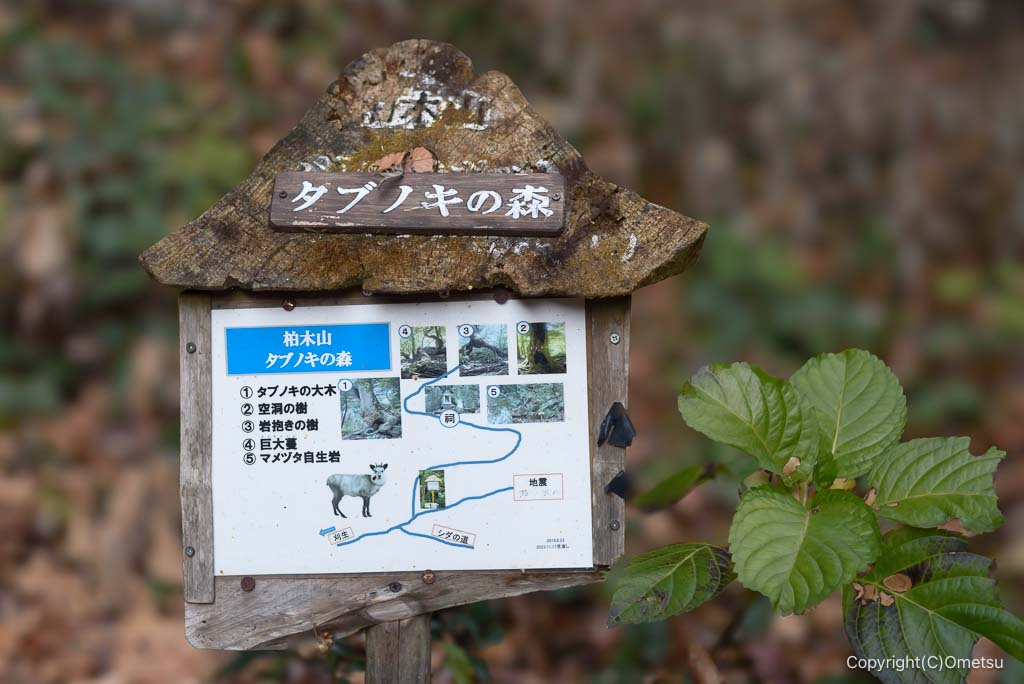 飯能・柏木山の道標