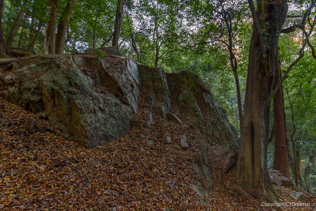 飯能・柏木山登山道の岩
