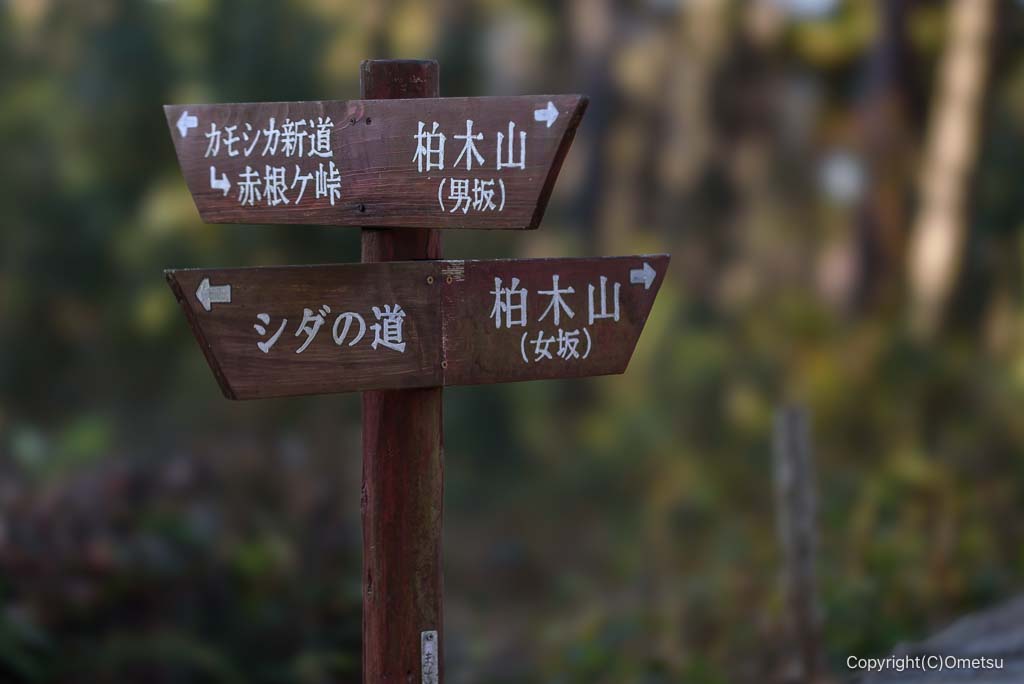 飯能・柏木山男坂・女坂分岐