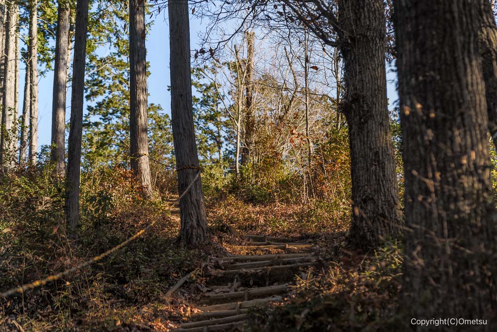 飯能・柏木山男坂