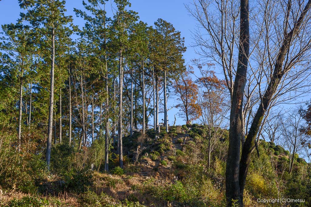 飯能・柏木山山頂