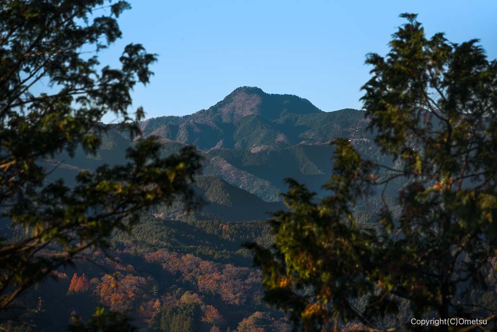 飯能・柏木山からの大岳山