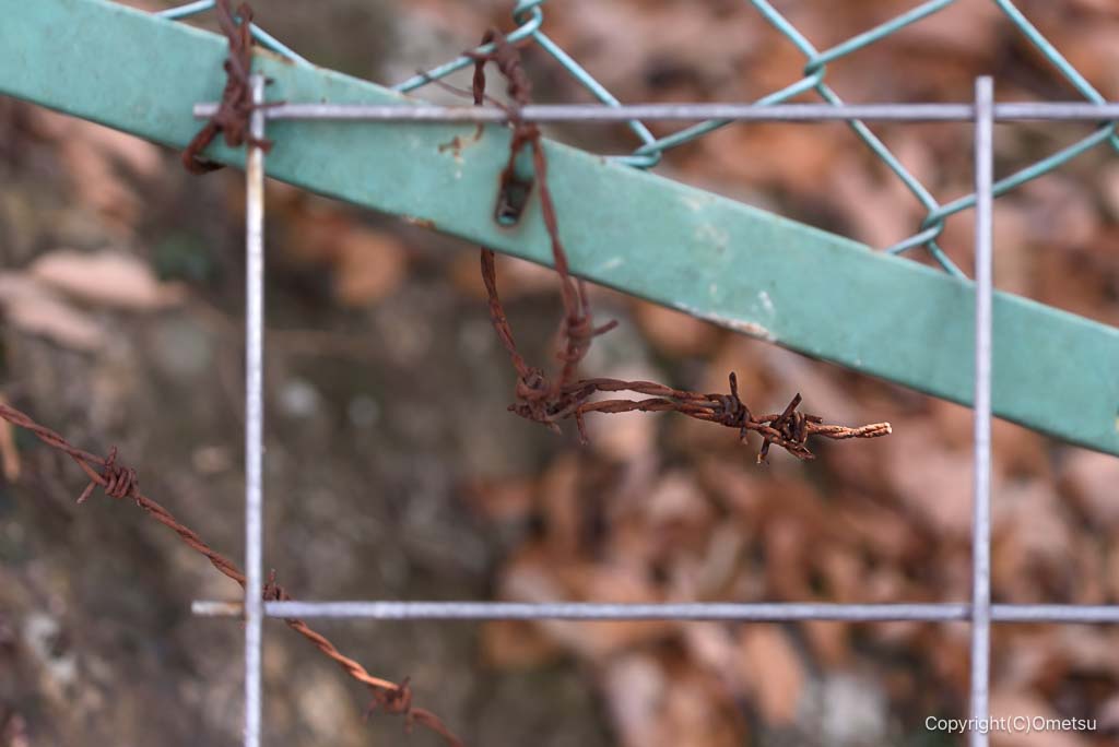 飯能・柏木山直下の道の有刺鉄線