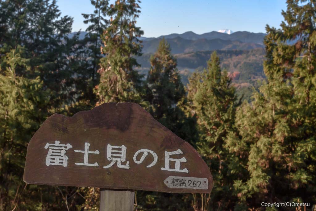 飯能・柏木山付近の富士見の丘