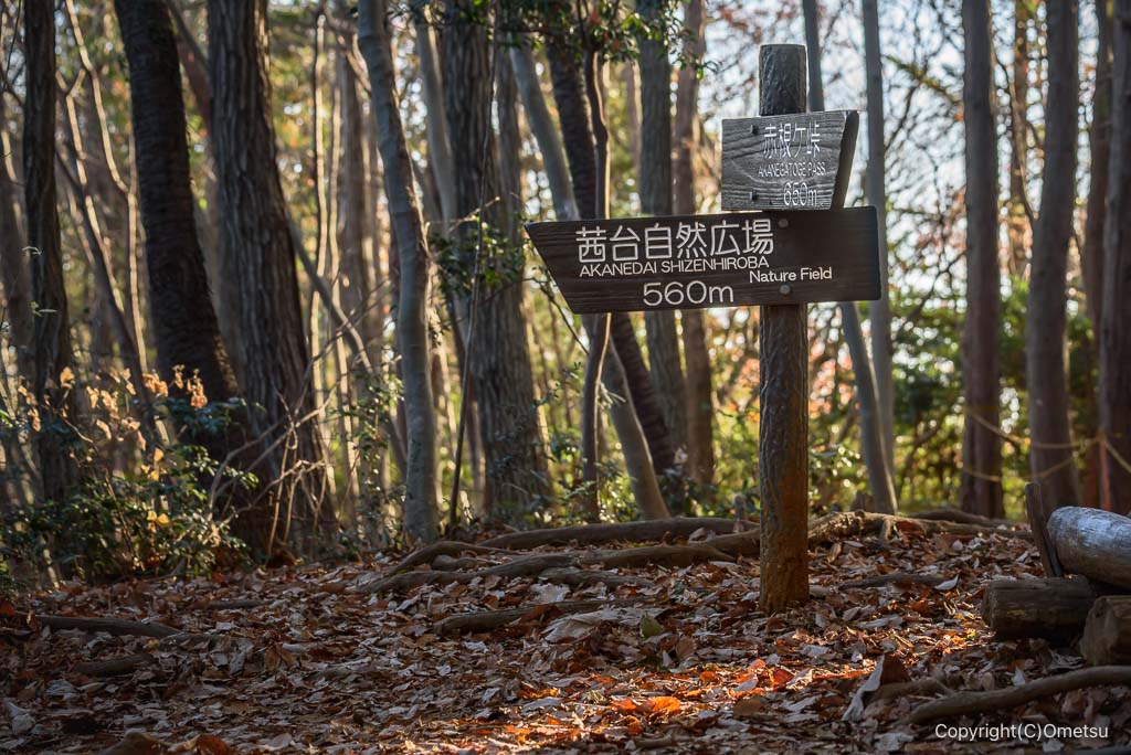 飯能・柏木山の茜台自然広場分岐