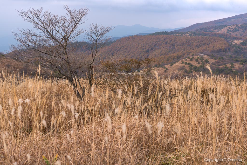 長野・高ボッチ高原