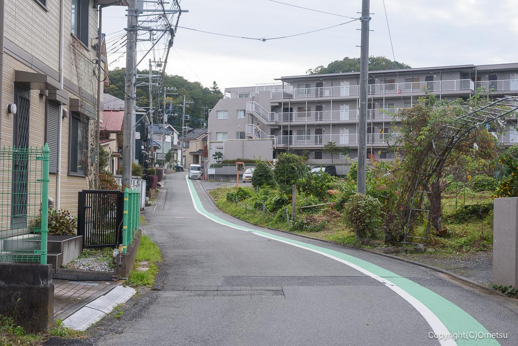 青梅・長渕の道