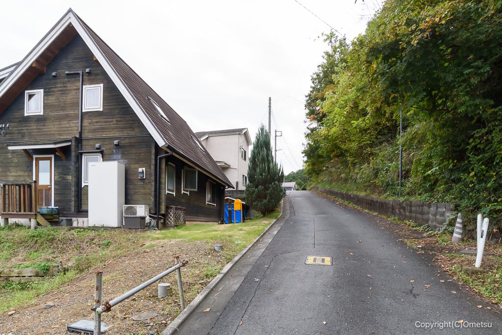 青梅・長渕の道