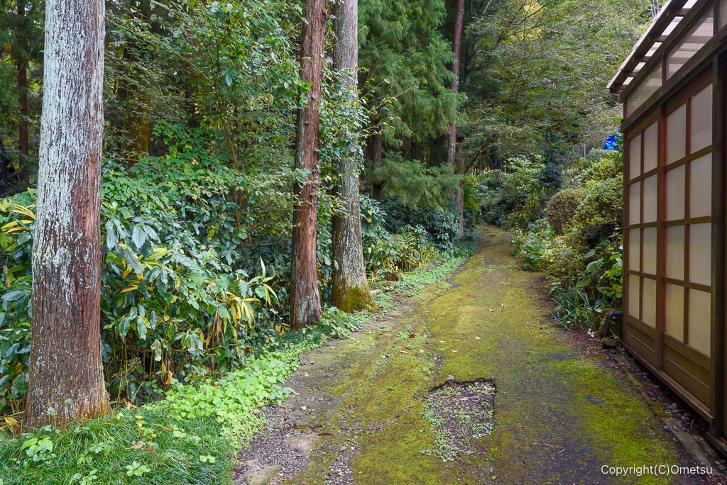 青梅・長渕の丘陵入口