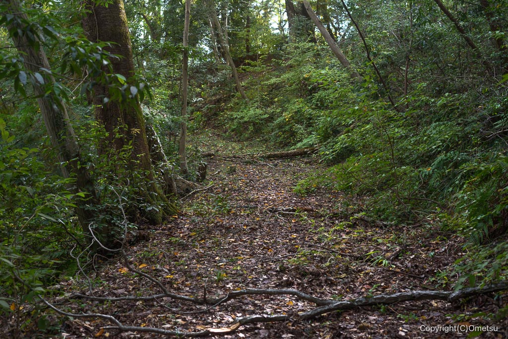 青梅・長渕の丘陵の登山道