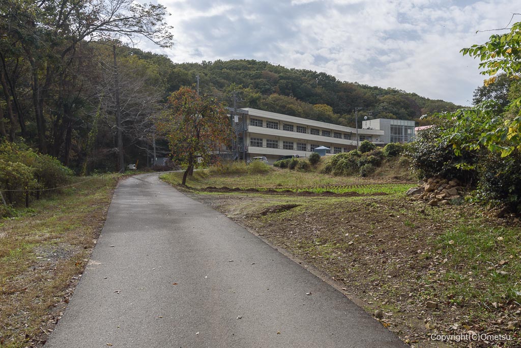 青梅・大荷田川沿いの道