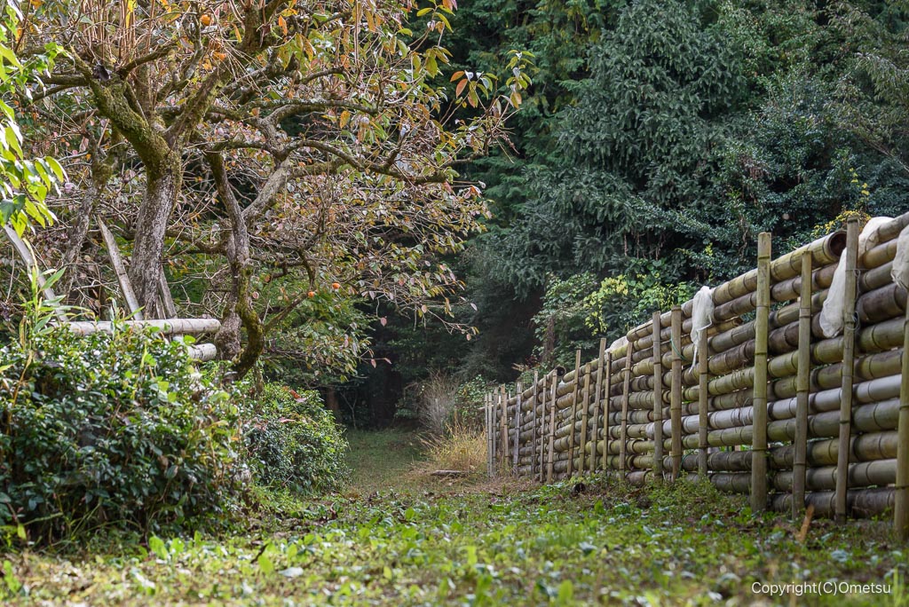 青梅・長渕の丘陵入口
