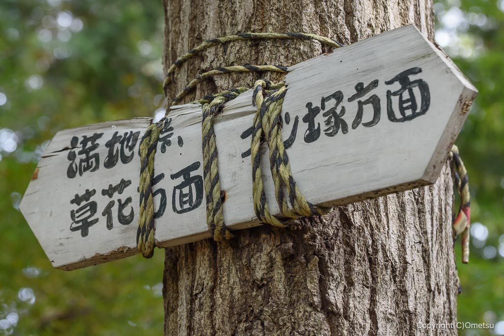 青梅・長渕の丘陵の道標