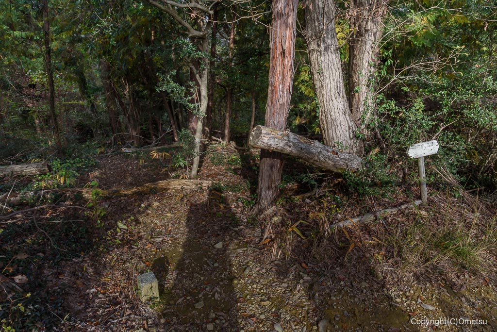 青梅・長渕丘陵の、分岐路