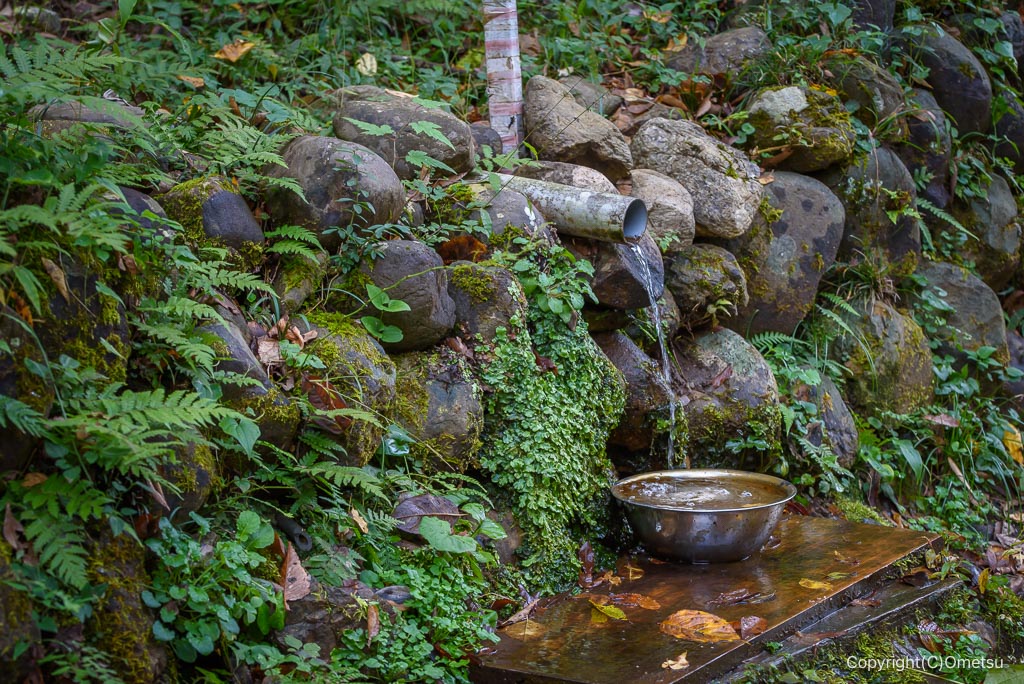青梅・大荷田川沿いの湧き水