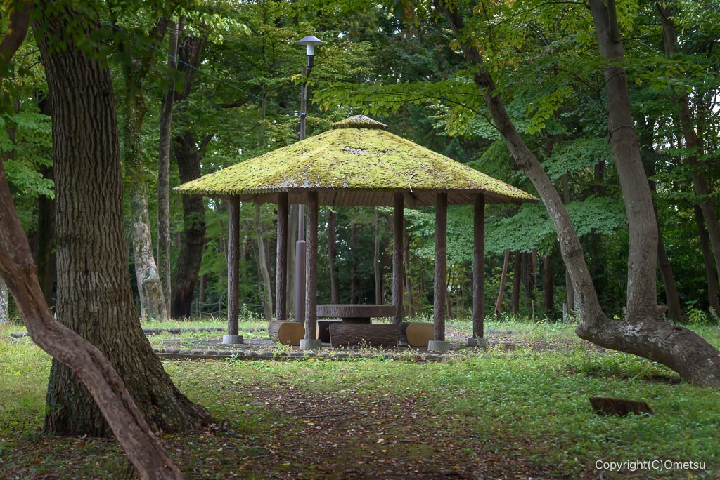 羽村・小作緑地公園