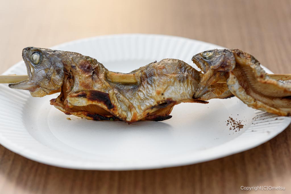 奥江戸水産・養殖場のヤマメ