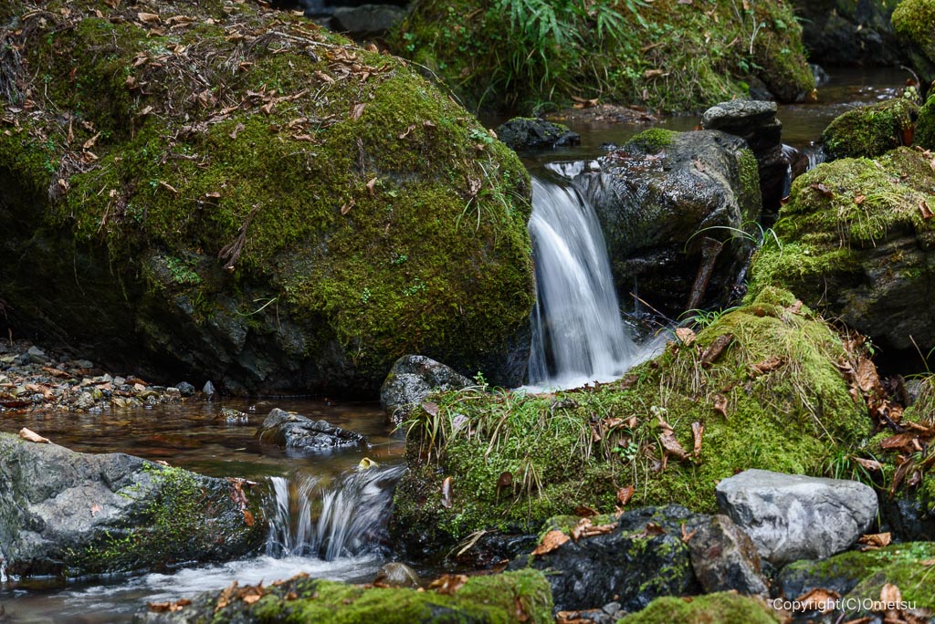 奥江戸水産・養殖場上流の清流