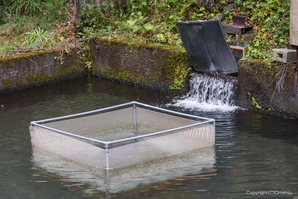 奥江戸水産・養殖場の水門