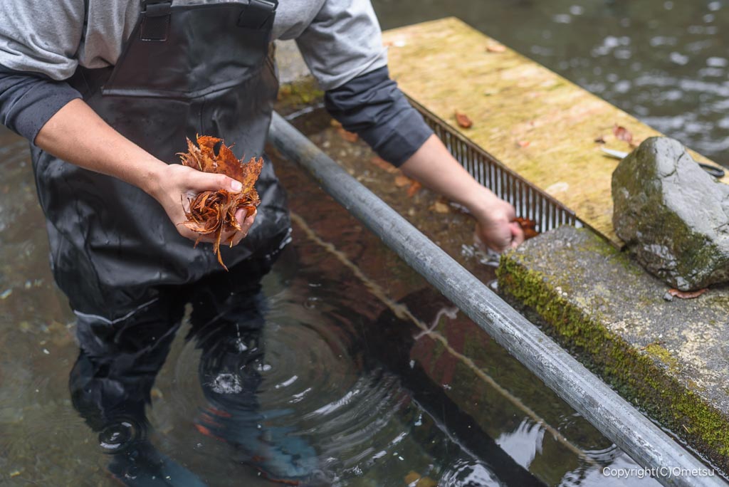 奥江戸水産・養殖場のメンテナンス風景
