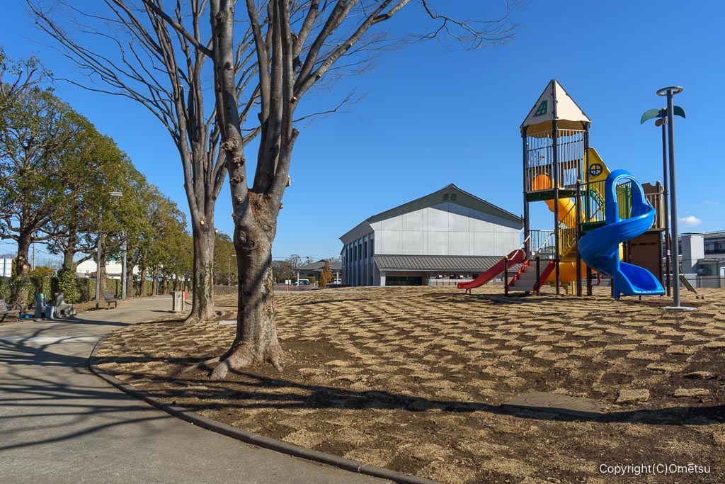 「フレッシュランド西多摩 よつ葉の湯」のBBQ広場と遊具