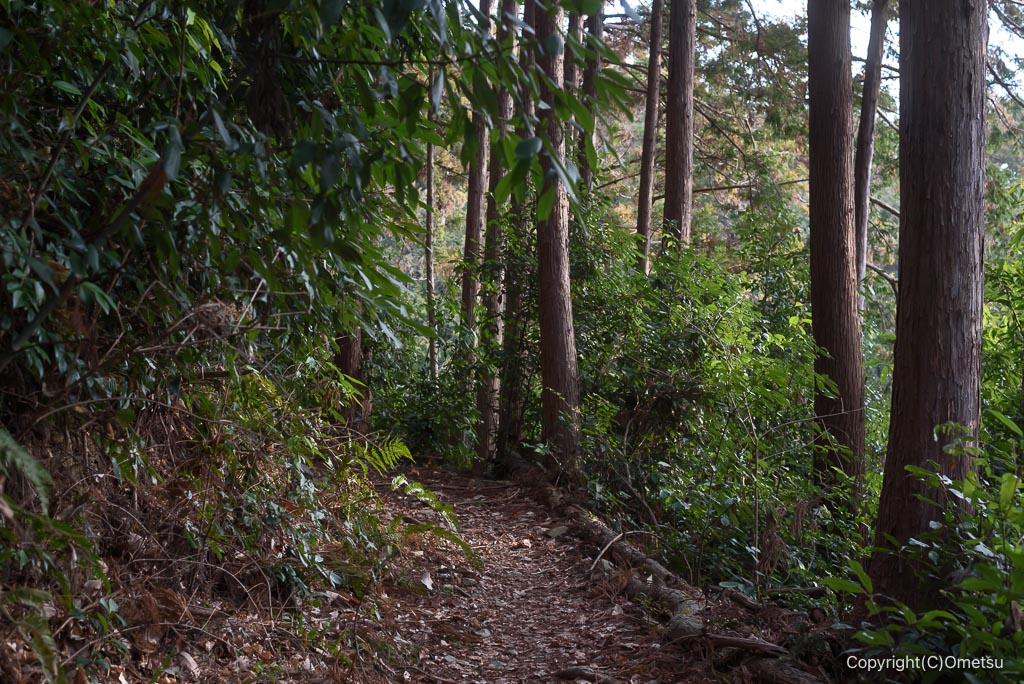 青梅・西国三十三ヶ所、巡礼路