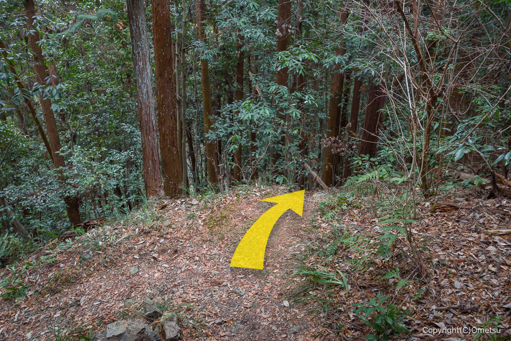 青梅・永山丘陵、愛宕神社跡分岐