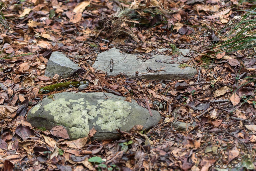 青梅・永山丘陵、愛宕神社跡分岐の石段跡