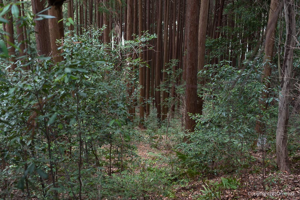 青梅・西国三十三ヶ所・巡礼路の下り道