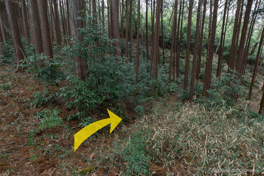 青梅・西国三十三ヶ所・巡礼路分岐