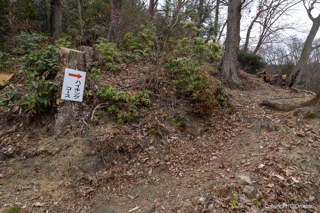 青梅・永山丘陵、弓道場近くのハイキングコース