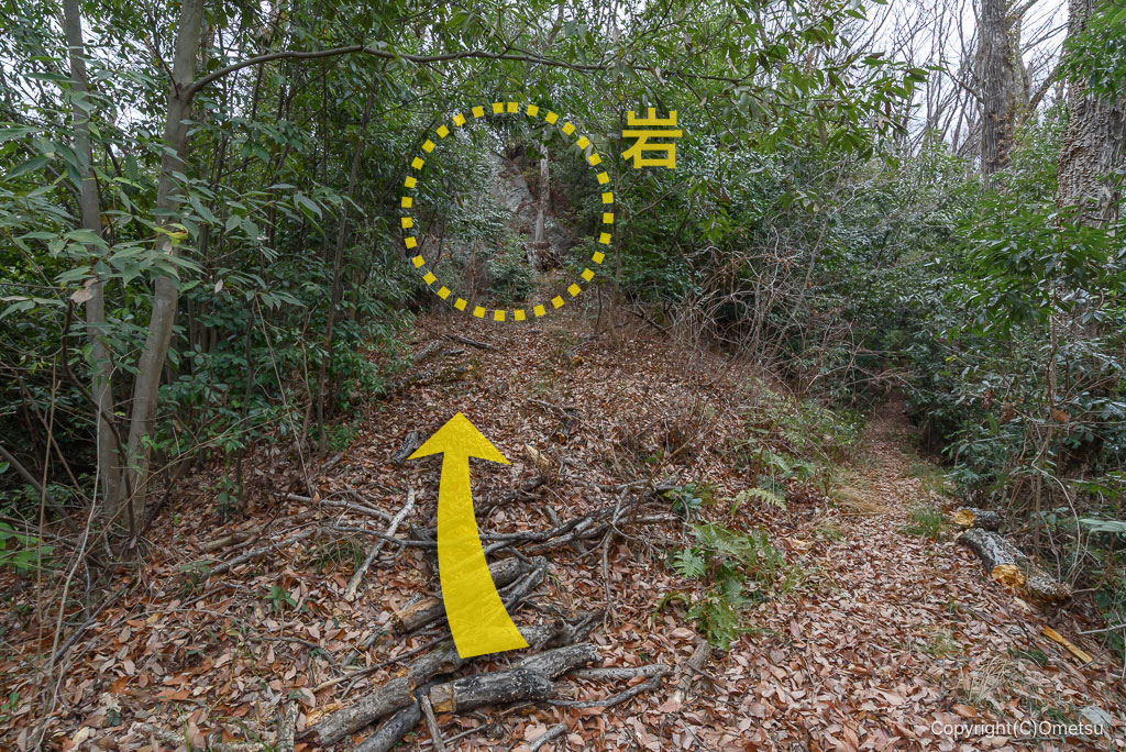 青梅・永山丘陵、山王分岐