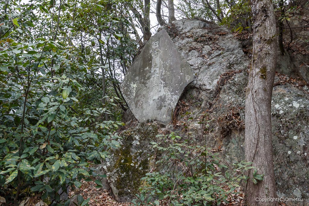 青梅・永山丘陵、山王
