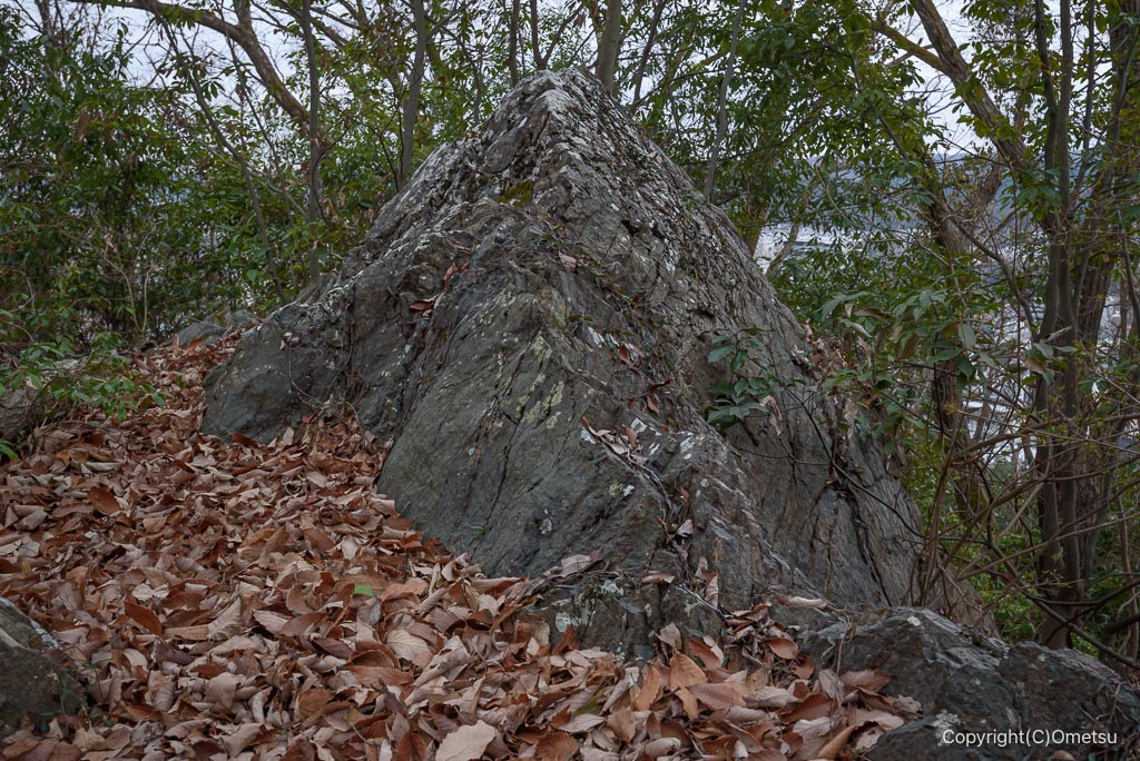 青梅・永山丘陵、山王頂上