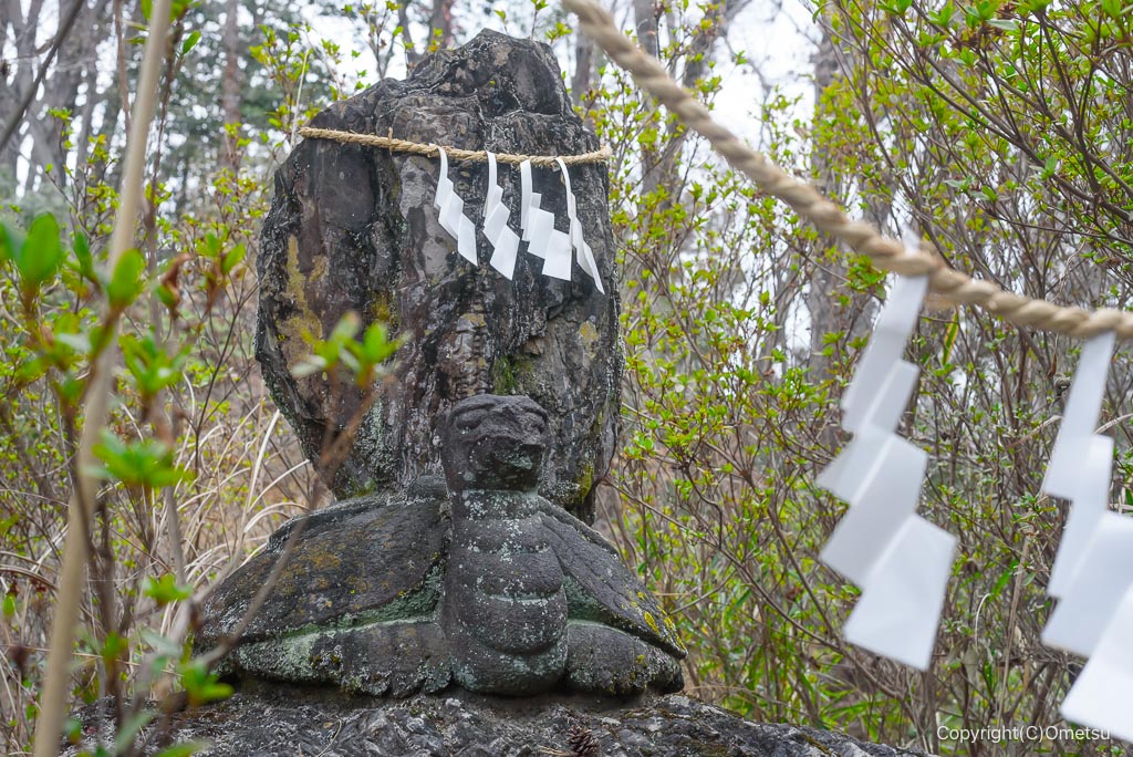 青梅・永山丘陵、金刀比羅神社の妙見大権現