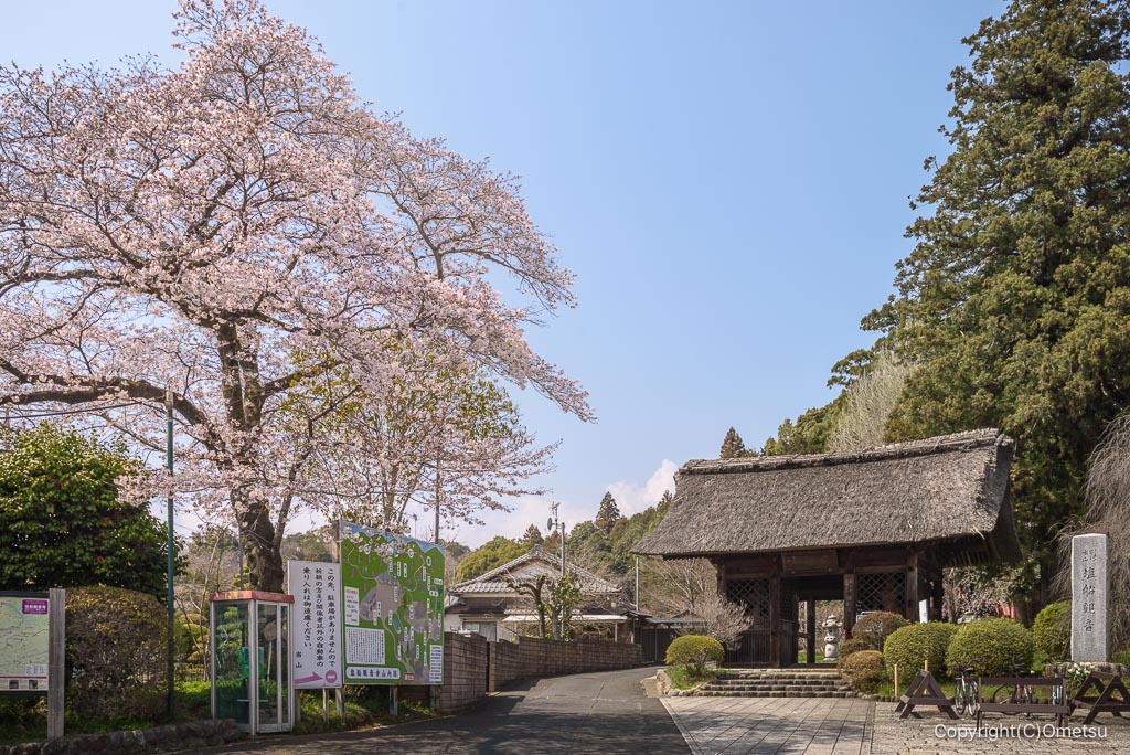青梅・塩船観音寺