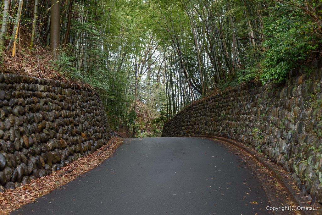 青梅・塩船の峠道