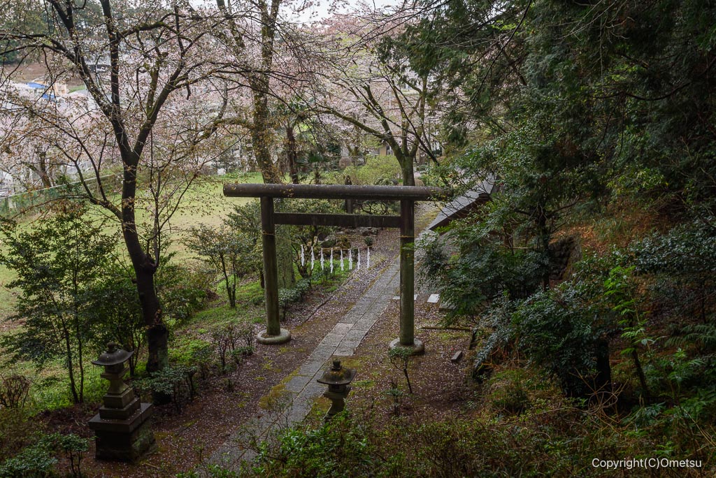 青梅・塩船神明社の参道
