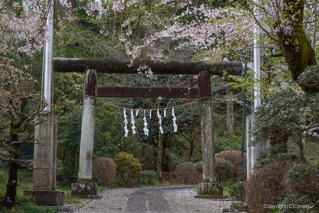 青梅・塩船神明社