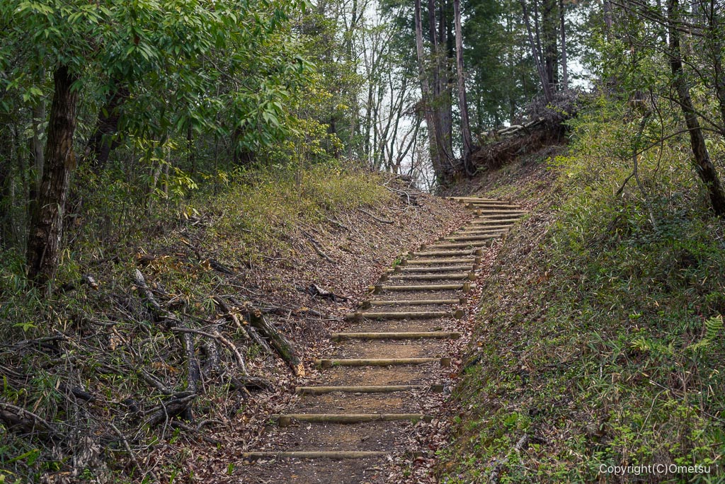 青梅・霞丘陵ハイキングコースの坂