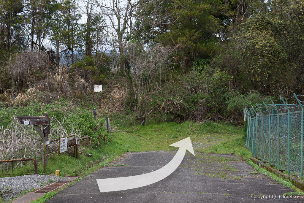 青梅・霞丘陵の林道