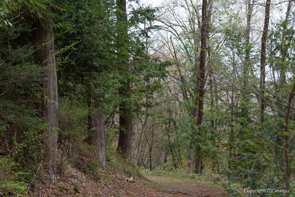 青梅・霞丘陵の登山道