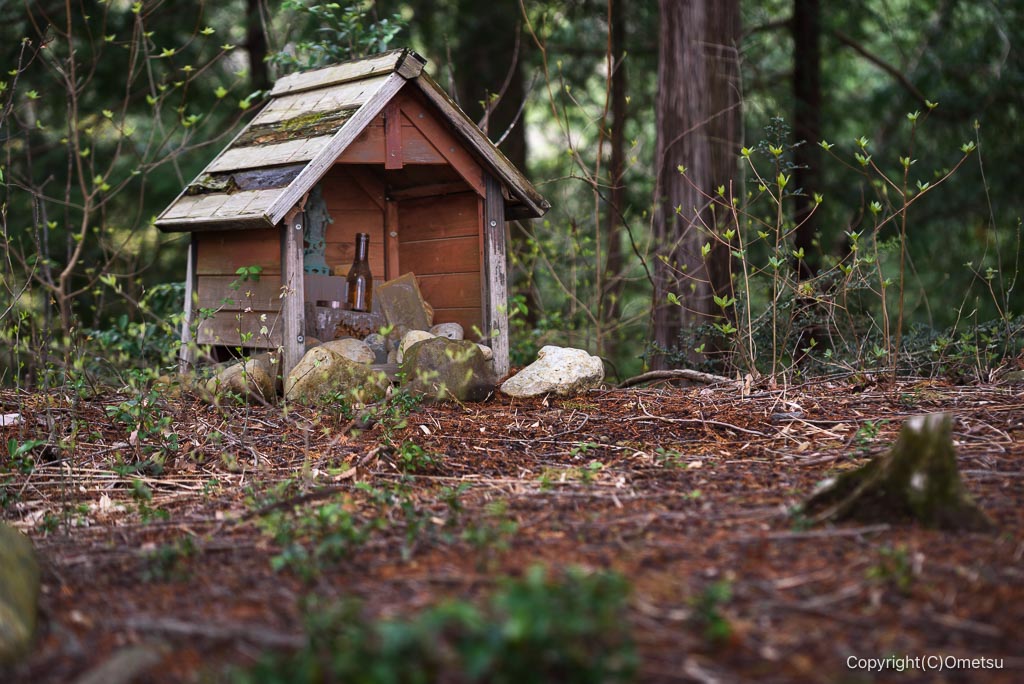 青梅・霞丘陵の聖観音