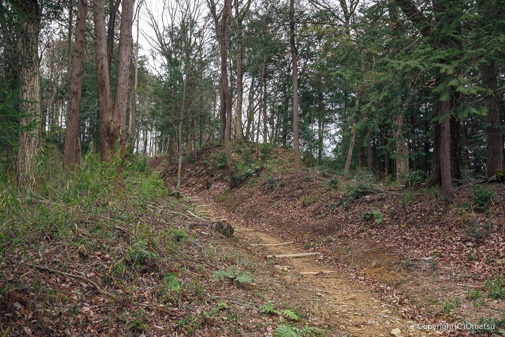青梅・霞丘陵の登山道下り