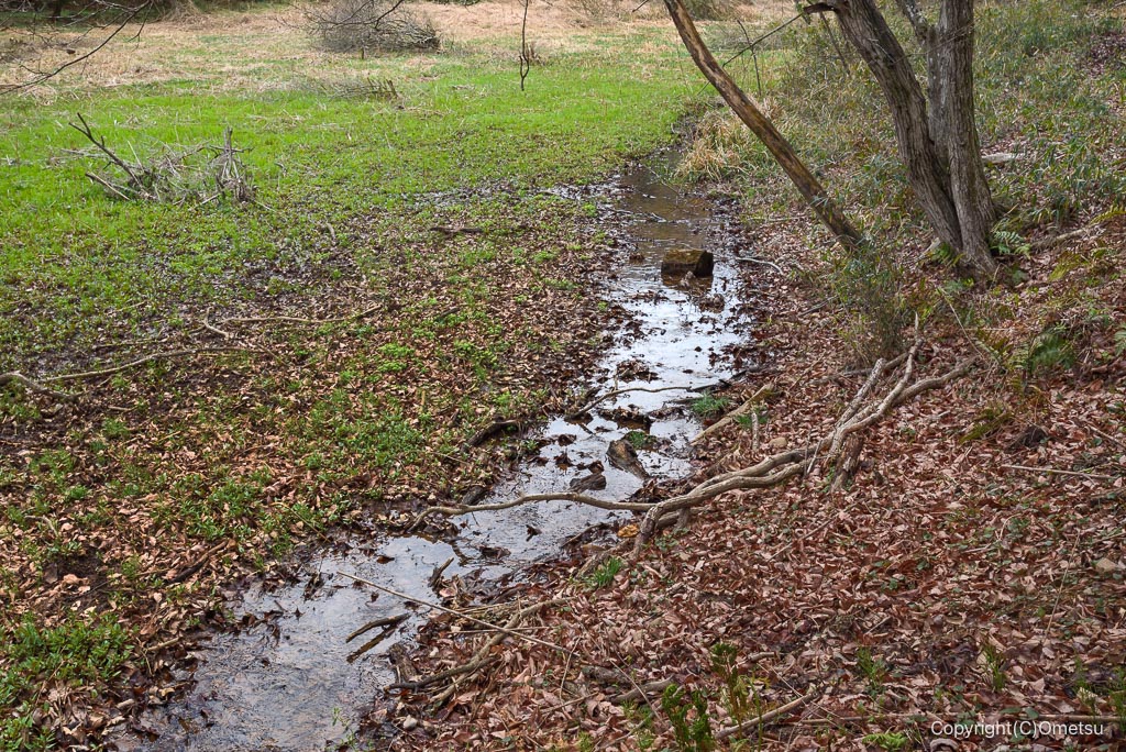 青梅・霞丘陵の沢