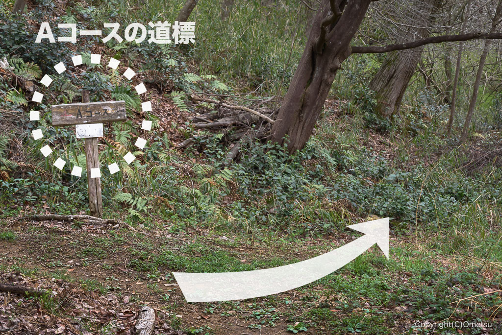 青梅・霞丘陵のかわなべ養鶏農場分岐