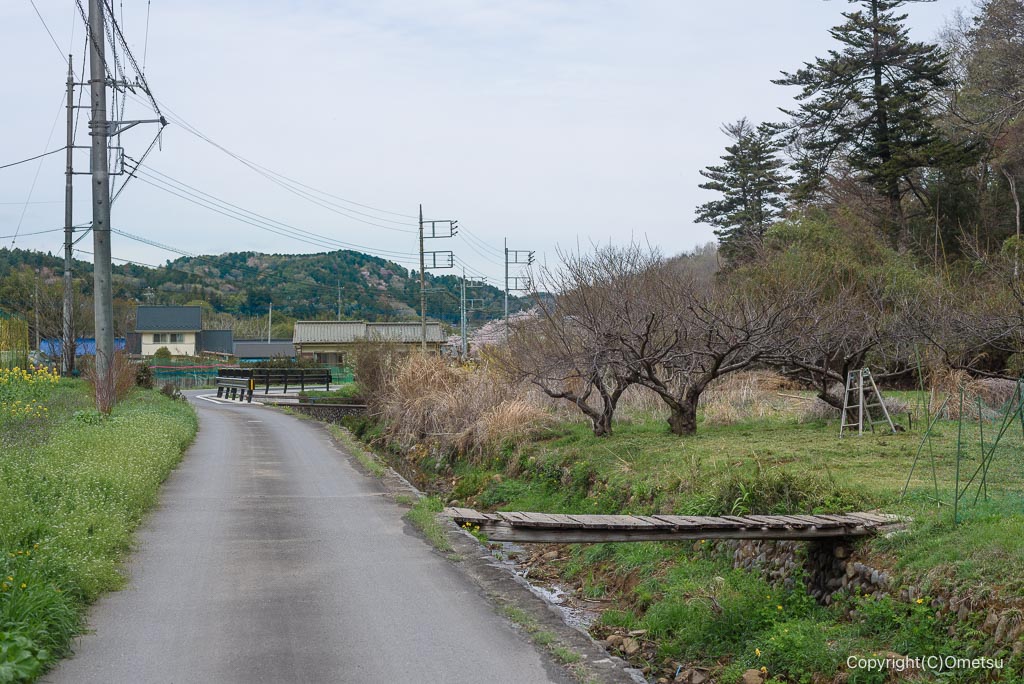 青梅・かわなべ養鶏農場付近の道