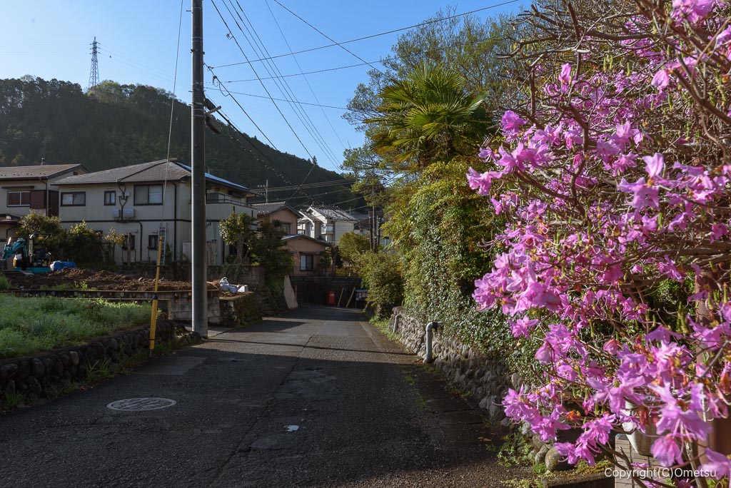 あきる野市・高尾付近の道