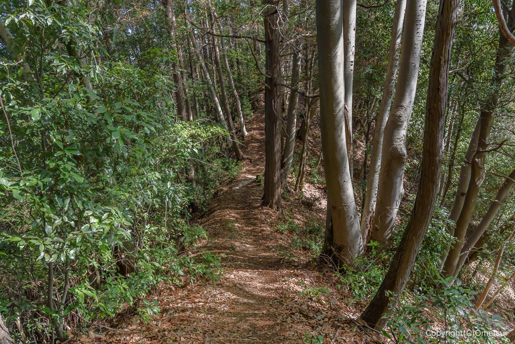 あきる野市・網代城址付近の登山道